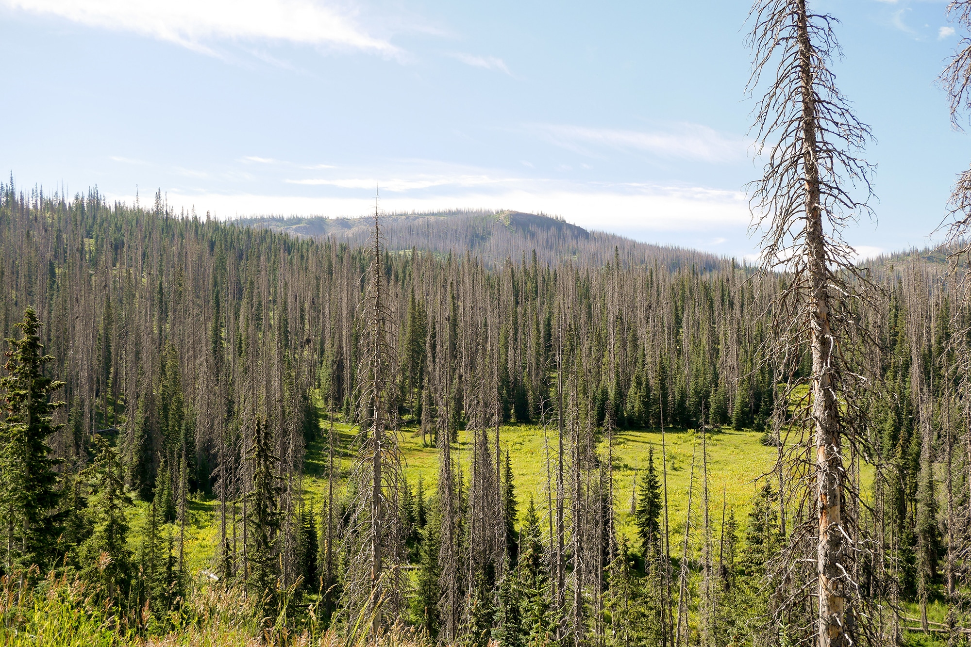 Wolf Creek Pass